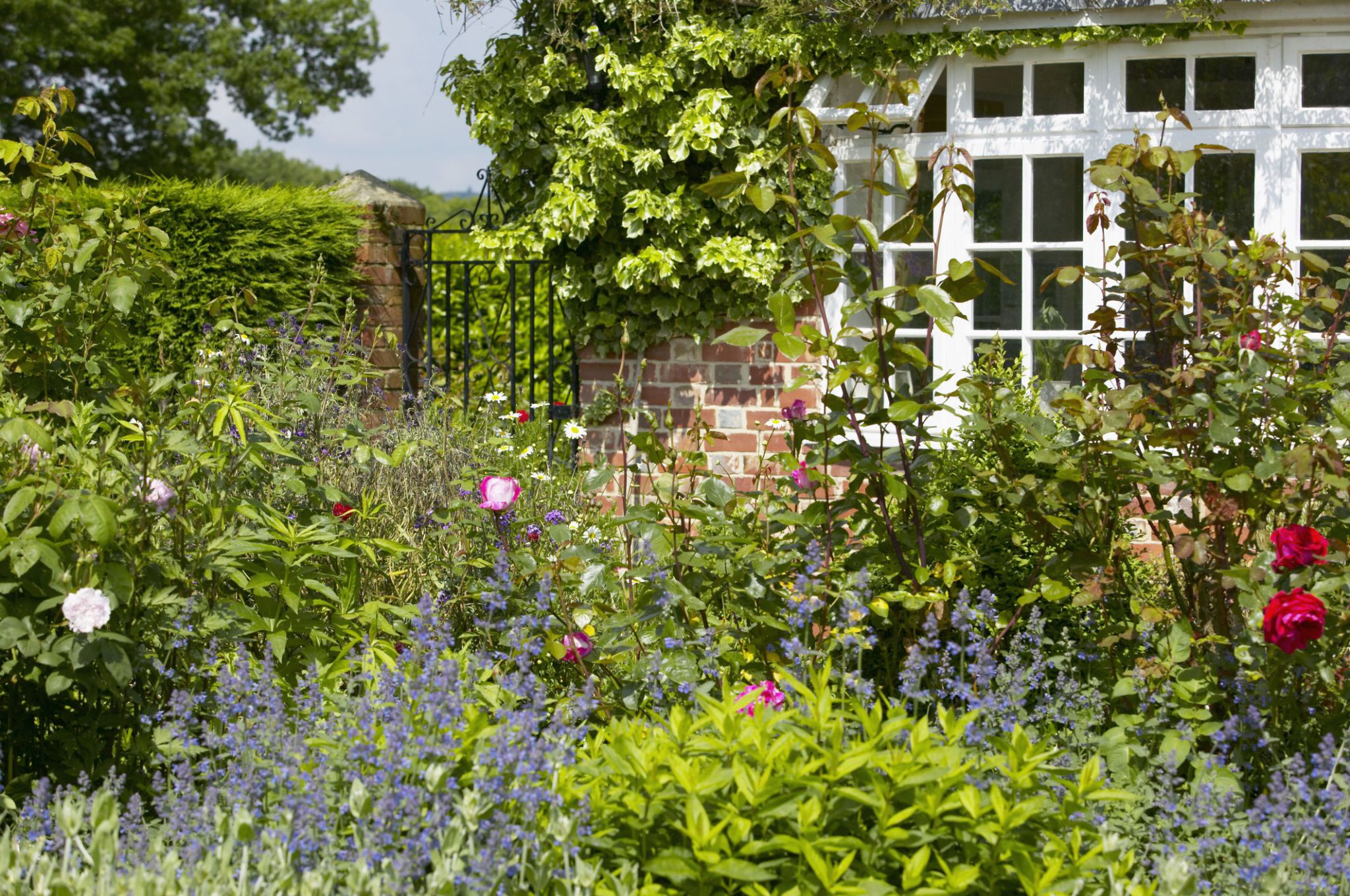 cottage gardens border infront of house with view to gate, the lowes garden, the ZMRTVKE