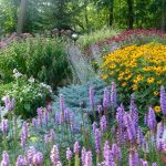 country gardens hgtv2501174-gardens-rms_perennials-minnesota-triciaf_s4x3.jpg.rend.hgtvcom. SZNGCJT