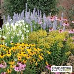 country gardens summer dreams pre-planned garden IFDGCDW