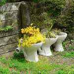 creative garden ideas creative garden container: toilet AJQDPCX