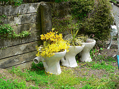 creative garden ideas creative garden container: toilet AJQDPCX