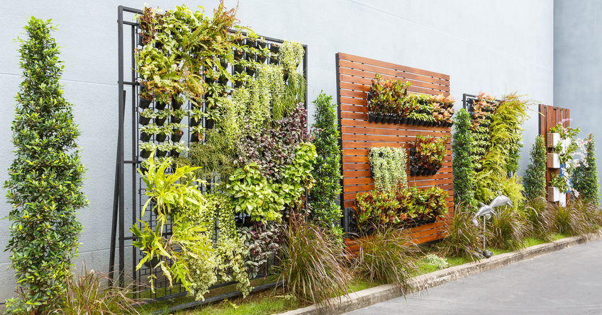 creative tips for planting a vertical garden HTONZZB