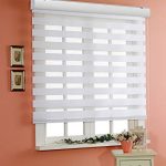 custom cut-to-size , basic horizontal window shade blind zebra dual  treatment GQIOVIG