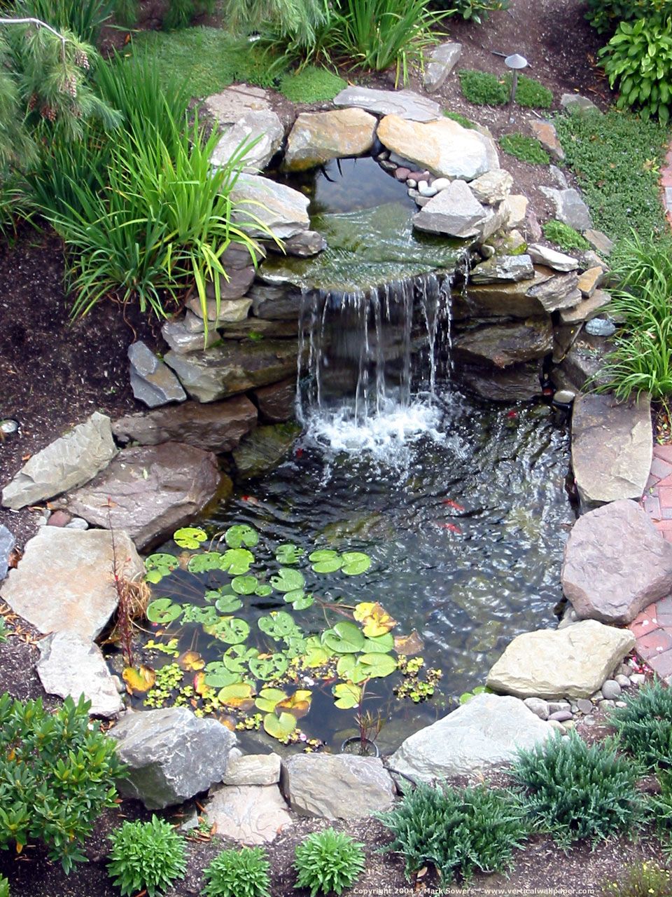 cute water lilies and koi fish in modern garden pond idea with GNWAVUZ