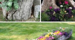 diy garden ideas tree stump garden planters TUMRAJD