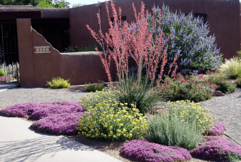 drought resistant landscaping 5 drought-tolerant landscaping ideas for a modern low-water garden -  freshome.com MAHULXR