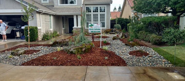 drought resistant landscaping drought tolerant landscaping before drought tolerant landscaping after WAVHWDO