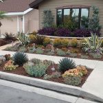 drought resistant landscaping drought tolerant landscaping orange county, ca | drought resistant . ZDEIMGB