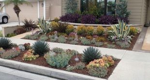 drought resistant landscaping drought tolerant landscaping orange county, ca | drought resistant . ZDEIMGB