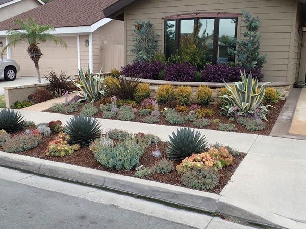 The requirements necessary for
drought resistant landscaping