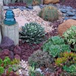 drought resistant landscaping landscaping ideas for a gorgeous, drought-resistant yard LWLZGMP