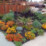 drought resistant landscaping wonderful drought resistant landscape ZEEQHUM