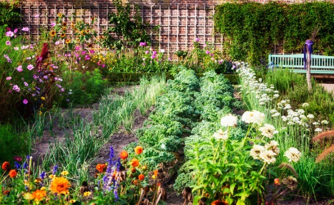 edible landscaping: a delicious way to garden GOFMQBU