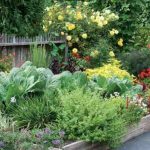 edible landscaping edible garden bed HYGEGWM