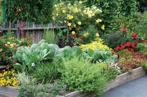 edible landscaping edible garden bed HYGEGWM