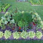 edible landscaping edible landscape KBOXEVB