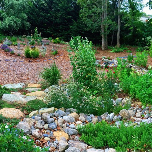 edible landscaping edible landscapes of cape cod - home CURLLAU