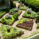 edible landscaping plant a square foot vegetable garden NCEXEJG