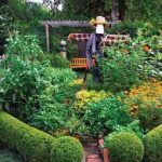 edible landscaping scarecrow and hedges VLZWFSZ