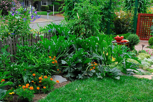 edible landscaping TUPYRSL