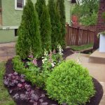 evergreen landscaping evergreen plants. year round screening plants for landscaping IFSHXHE