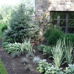 evergreen landscaping ideas YZUWOVF