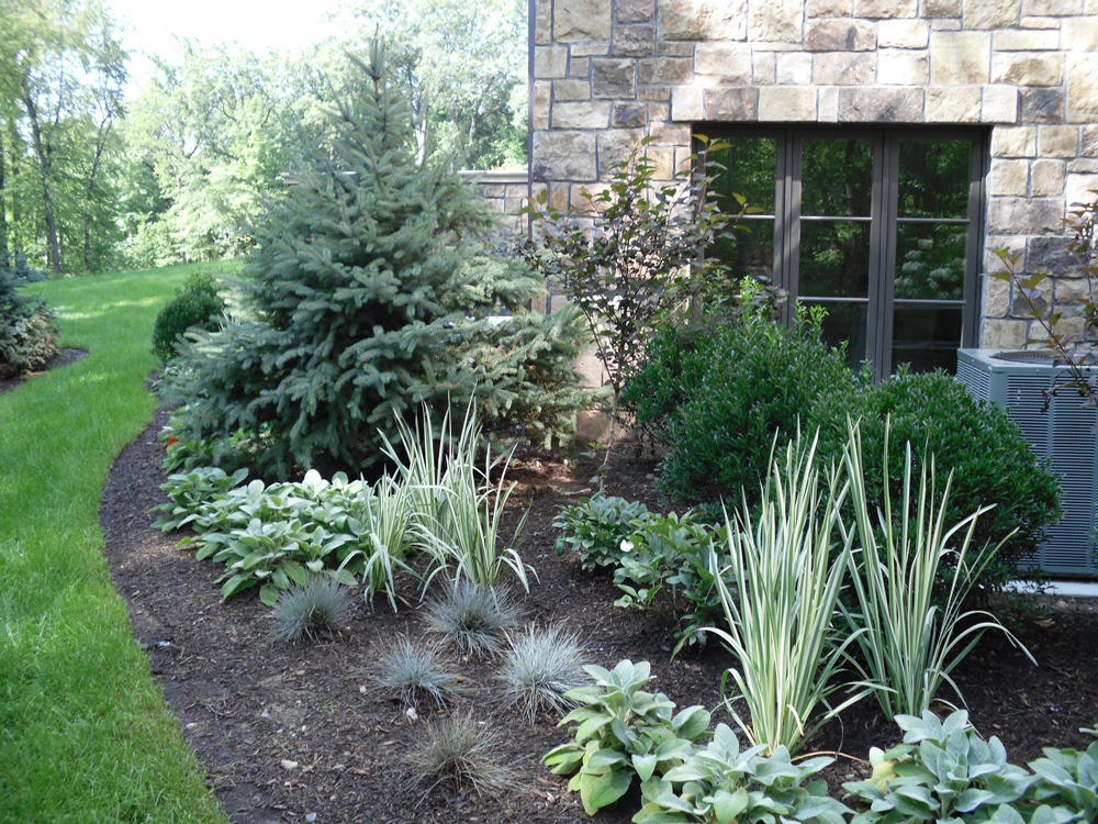 evergreen landscaping ideas YZUWOVF