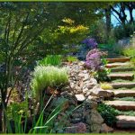 evergreen landscaping is a full big image GEUYXSL