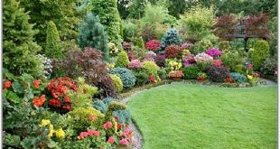 evergreen landscaping lovely evergreen landscaping ideas best landscape  design ideas of KPPIQEM