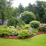 evergreen landscaping style ideas AMALOVS