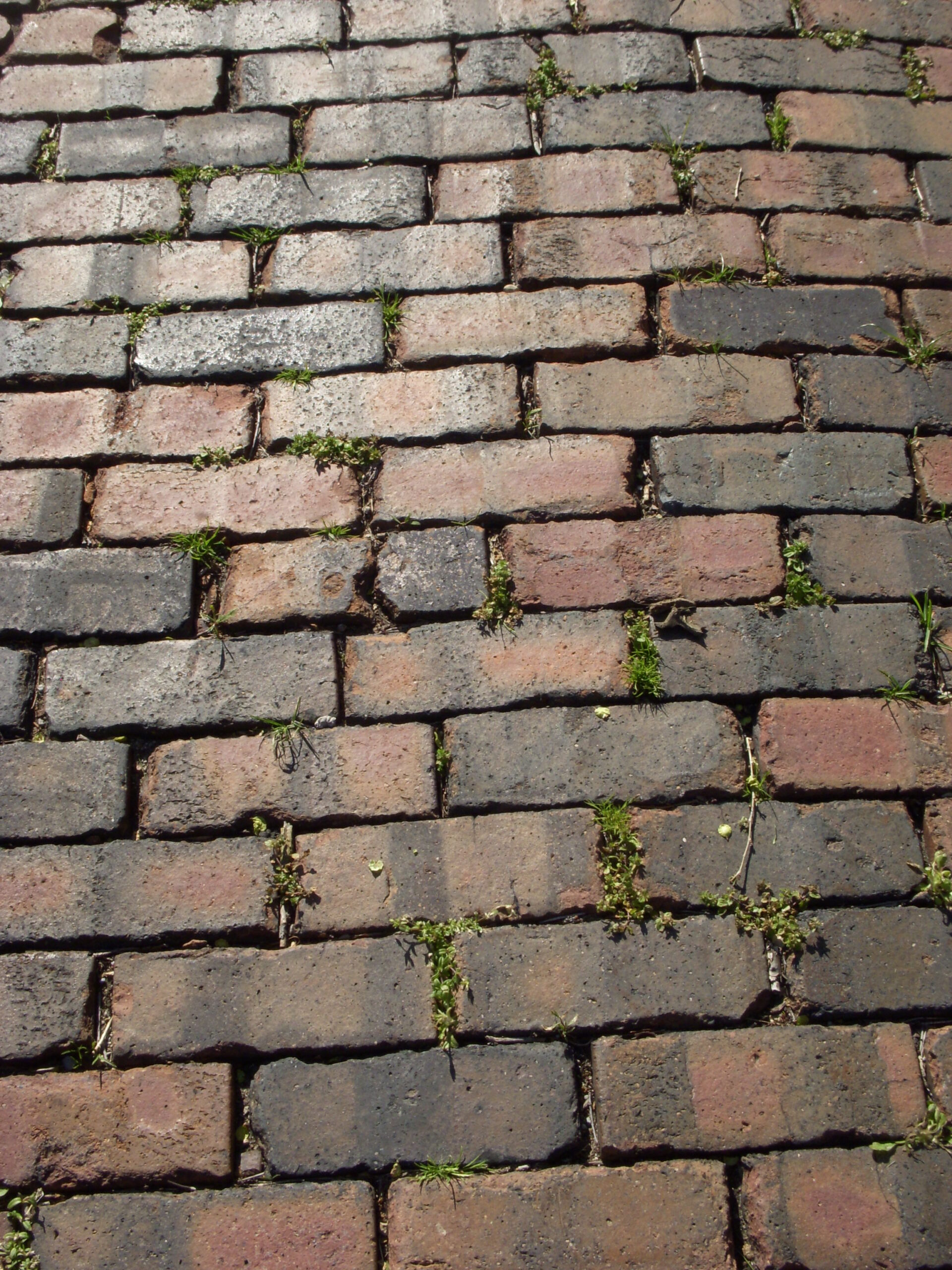 file:benjamin harrison home - brick driveway nrhp 66000010.jpg QZPLERC