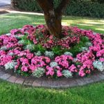 flower beds circular shade-loving annuals flower bed IDLNVHH