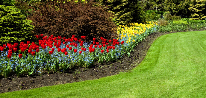 flower beds clearing weeds from flower bed OMEGVOI