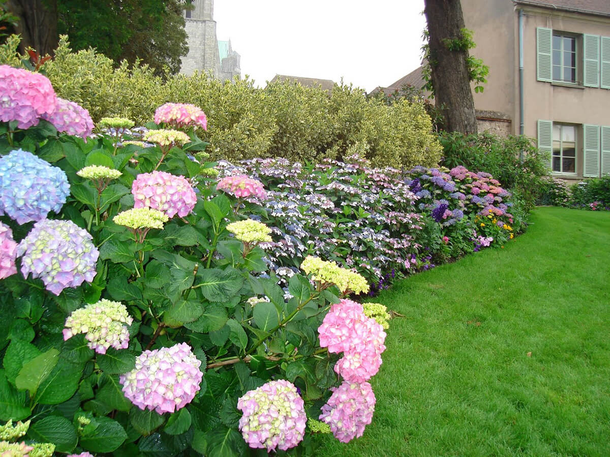 flower beds flower bed for small yards CGTOWYW