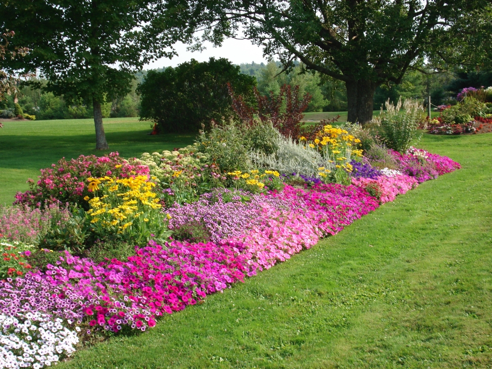 flower beds flower bed ideas - making garden beds OGDFBBY