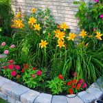 flower beds in front of house 22 ZXWFTSO