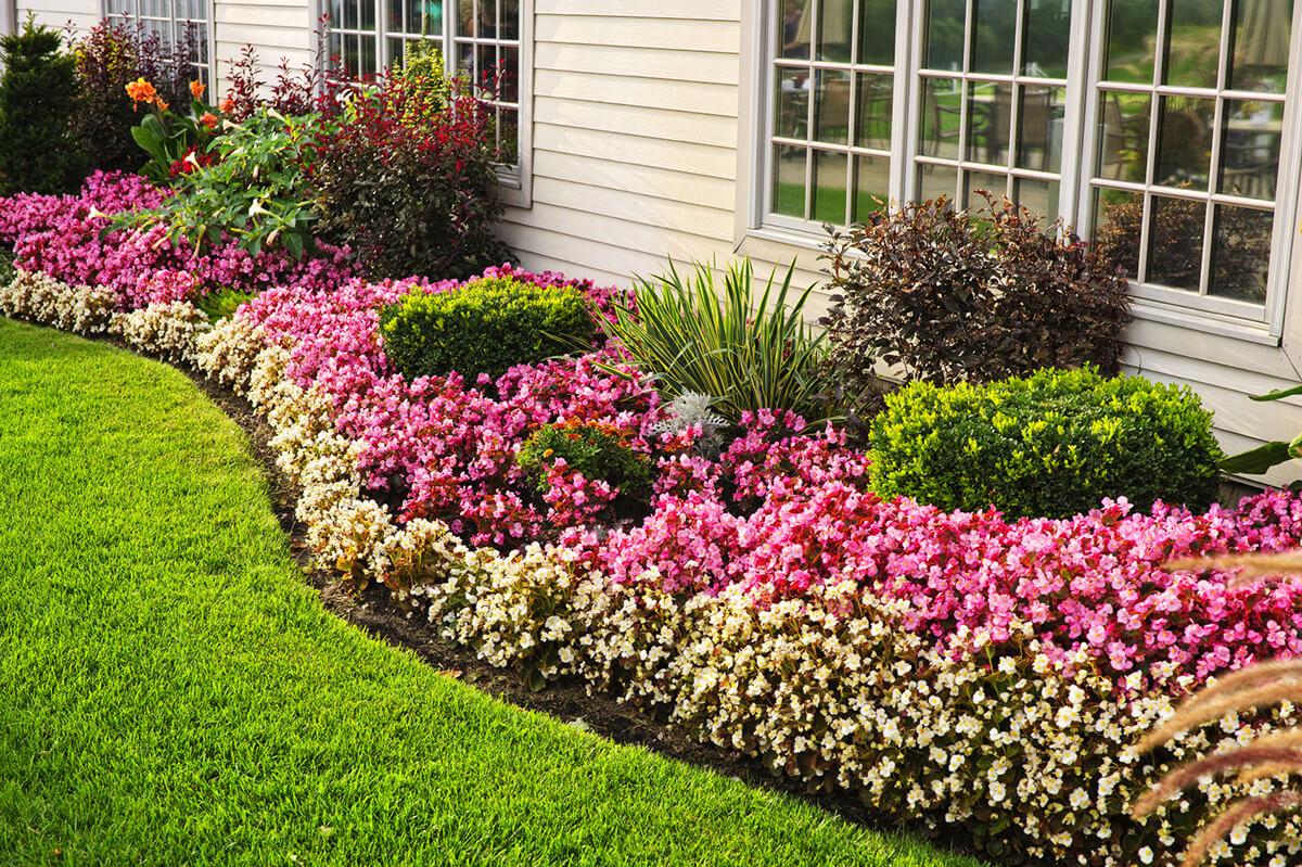 flower beds perennial flower bed ideas CZWQMBY