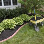 flower beds prevent weed seeds from reaching the bare soil by using mulch and CMNQMBE