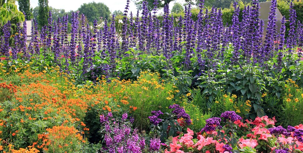 flower garden designs flowers, garden, purple spires garden design calimesa, ca ZKAHUGG