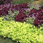 flower garden designs garden landscape - how to design a garden - youtube SVLBUEV