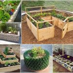 garden bed ideas 10-unique-and-cool-raised-garden-bed-ideas- XNSQTLW