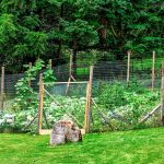 garden fence ideas image DFCCUOA