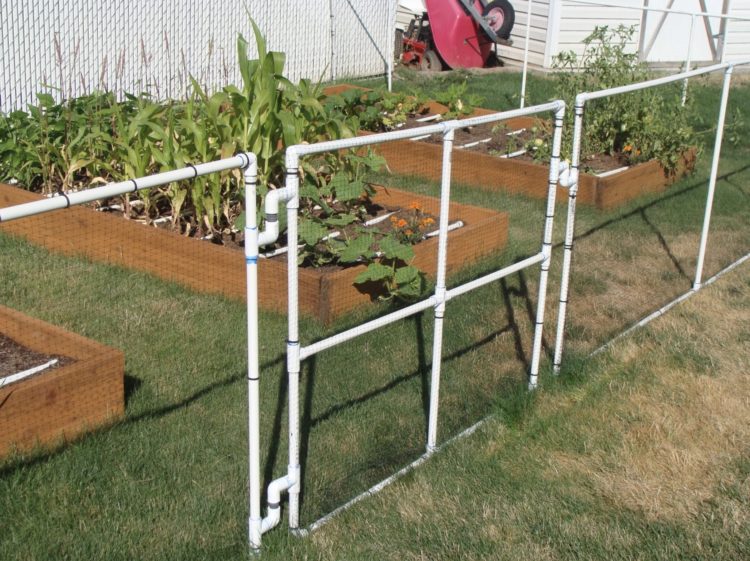 garden fencing ideas diy garden fence ideas LPFERYL