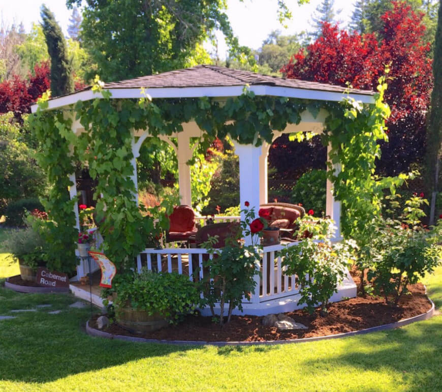 garden gazebo crawling vines are the fastest way to incorporate your gazebo with your YXGOYFQ