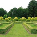 garden hedges ... gardens and nature around us are being swallowed by the concrete XMFHMCZ