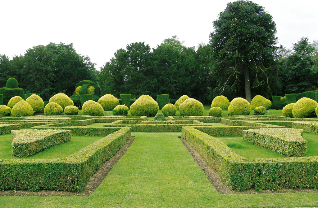 garden hedges ... gardens and nature around us are being swallowed by the concrete XMFHMCZ