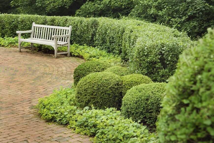 garden hedges the sculptured shape of the rounded hedges in this garden complement the XWKAUNI