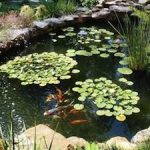 garden pond sunken pond kits HTSGGBG