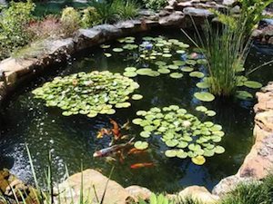 garden pond sunken pond kits HTSGGBG