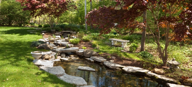 garden pond you have installed your pond-preformed or concrete, sunken or raised-but  your ACHYNVJ